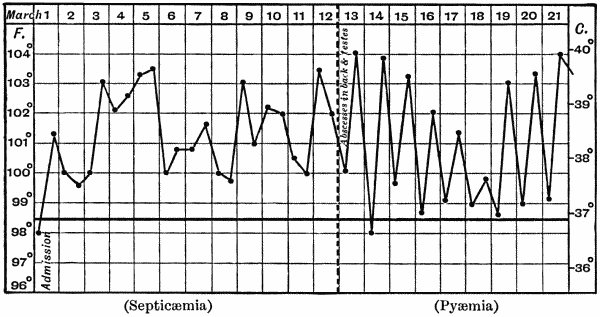 Fig. 12.—Chart of case of Septicmia followed by Pymia.